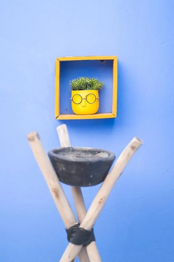 Jardin De Majorelle Location Journaliere Casablanca